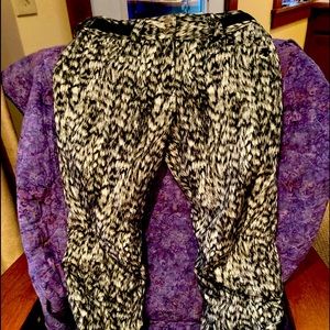Awesome Decente Ski Pants